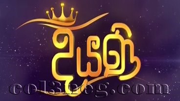 Diyani Episode 12 - Col3neg