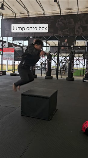 Plyometric Box Jumps - Increase explosiveness in your lower body #fitness #boxing