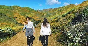 Kamy Brandt, PT, DPT Kirkland — Lake Washington Physical Therapy