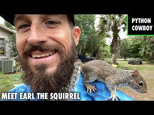 Meet Earl The Squirrel The Newest Member On The Ranch