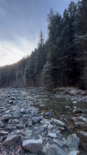 The nature of the Alpine mountains #alps #nature #mountains #naturelovers