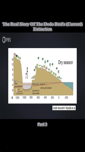 Springtailss (@springtailss)’s videos with Motivation - neozilla