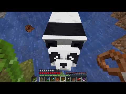 Minecraft Survival - EP4: Rip con vẹt của tôi ( I hate creeper)