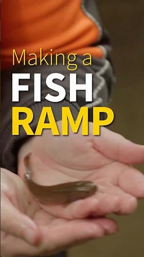 Helping fish get upstream with this ramp #biodiversity
