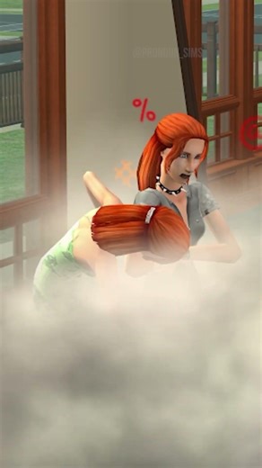 The sims 2 - Twins Fight