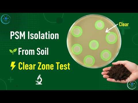 Isolation of Phosphate Solubilizing Microorganisms from Soil | PSM Lab Practical