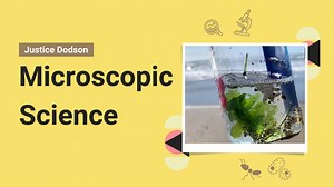 Microscopic Life: Watch Salty Microbes in Action!