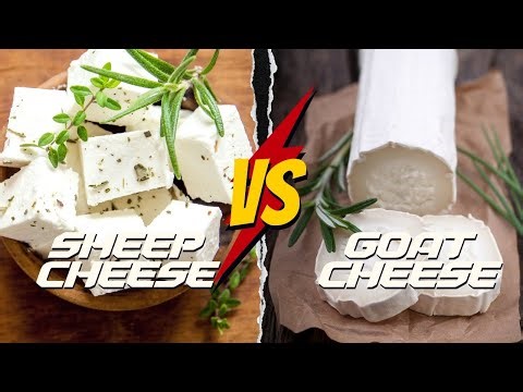 SHEEP CHEESE VS GOAT CHEESE: ULTIMATE DAIRY DELIGHT?