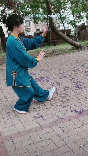 Tai Chi in the morning #taichi #tiktok #foryou #workout #trending #tutorial