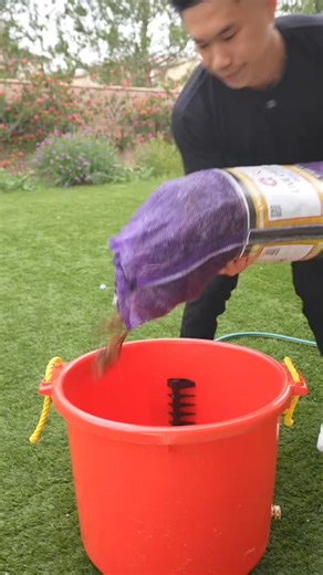 Purging crawfish #collegestation #seafoodie #bryancollegestation #seafoodlover #foodie #texas #austin #killeen #texaskrabhouse #foodtruck #krabhouse #bestshrimpever #houston #bryantx | Texas Krab House