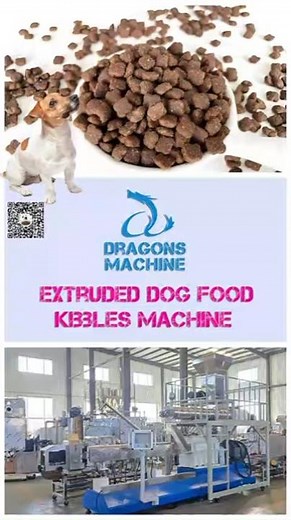 🐶🍖 Extruded Dog Food Kibbles Machine — Built for Serious Pet Food Production #DryDogKibblesMachine