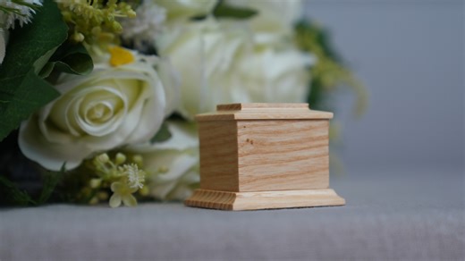 Wacky world of luxury PET funerals including goldfish-sized coffins