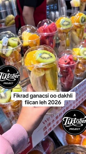 Fikradaha Ganacsi ee Dakhliga Fiican 2026