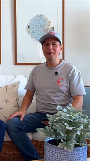 ESTEI | Hospedaje en Venezuela on Instagram: "🎤✨ Bienvenidos a otro episodio de ES-TEI CON Hoy conversamos con Carola, una anfitriona increíble en Margarita, que nos abrió las puertas de su alojamiento y de sus historias. 🏝️💛 Dale play y descubre por qué confiar en lo nuestro #Margarita #AnfitrionesVenezolanos #HospedajeTemporal #TurismoVenezuela #EsteiCon"