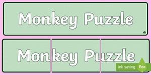 Monkey Puzzle Banner