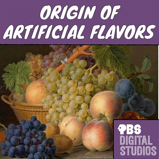 205K views · 348 reactions | Where do artificial flavors come from? Well whether it’s your average store bought yogurt, granola bar, or even butter, a lot of food we eat today is full of artificial flavoring. Why did this happen? It has to do with the strange history of vanilla (yes! boring old vanilla) and the human perception of taste. | PBS Origins | Facebook