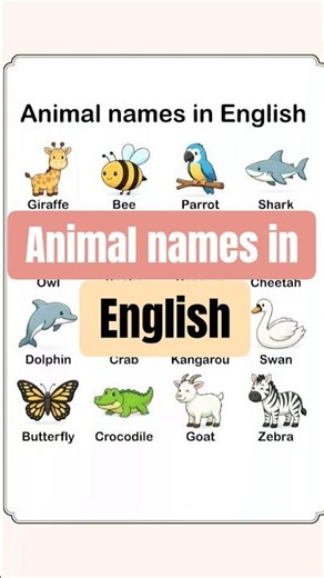 🔴 Animal Names in English | Common Animals You Should Know