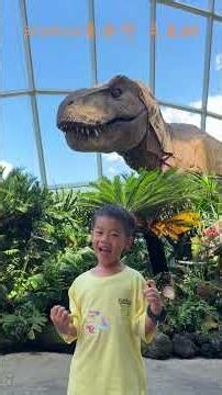 2026.06.26濱海灣花園、魚尾獅