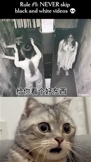 Best Escape Room #best #funny #escaperoom