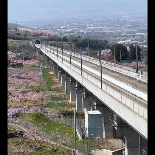 #リニアモーターカー #リニアモーターカー山梨 #jr東海 #笛吹市 #鉄道ファン #JRグループ #新幹線 #石和 #春 #桃の花#日本#日本の技術 #未来 #高速鉄道#希望#時間#移動#japanees #instagram #instagramers#instagramstory #japan#beautiful#動画#動画クリエイター#動画クリエイター動画編集