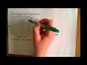 Additional Biology (B2) Random Sampling With Quadrats