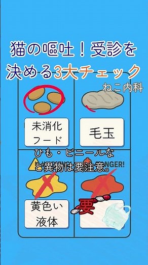 【獣医師が解説：主訴シリーズ】猫が吐く時、それは毛玉？それとも命に関わる嘔吐？ ねこ内科