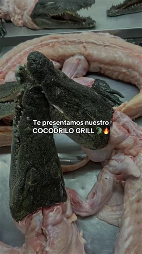 Cocodrilo Grill: El Sabor Exótico en Tus Eventos