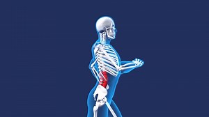 How short daily body "retraining sessions" can be an effective, affordable alternative to costly medical treatments for chronic low back pain, without any dangerous side effects. A “3 Anchor Framework” makes this possible. It's a unique "mental interface" that allows us to access dormant deep core muscles constantly pulling on our hips and spine. Removing these pressures stops excessive deterioration of the joints (especially of the spine). Hi, I'm Dr. Ryan Peebles and I became a Dr. of Physical