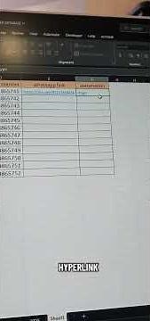 Send WhatsApp Messages Directly from Excel | No Coding Needed | Excel Automation 2025 #EXCEL