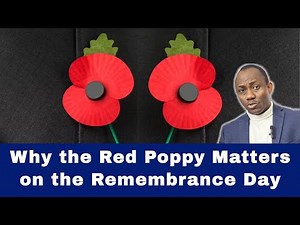 Why the Red Poppy Matters on Remembrance Day and What It Truly Symbolises