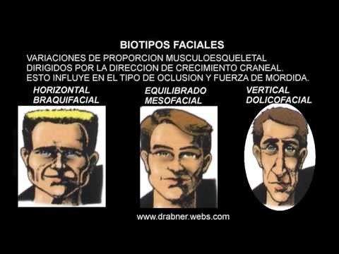 BIOTIPOS FACIALES1