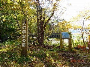 秋の紅葉大沼国定公園小沼湖を落ち葉サクサク踏みながら歩く[HD]