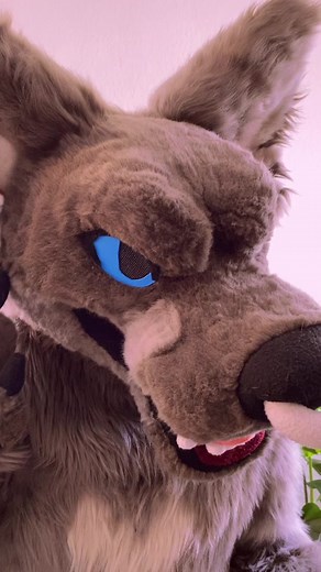 Hi TikTok!! We are Feral Candy, a fursuit making duo established in 2020 that’s been making suits together since 2017 ♥️🐾 Can’t wait to start posting our content on TikTok now too! #furry #fursuit #fursuitmaker #furryfandom