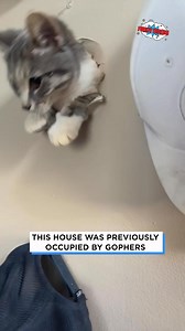 Well that was unexpected! 🤣 | Funny Videos