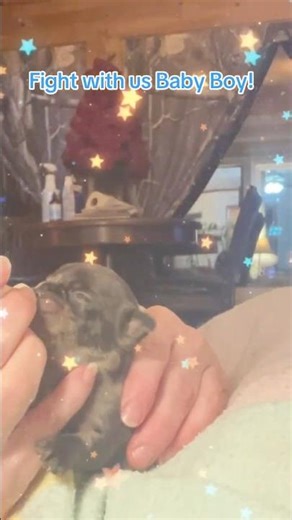 This newborn puppy needs us to survive #puppycare #survival #rescue