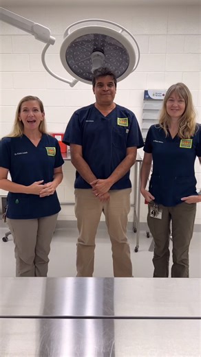 10K views · 326 reactions | Happy Veterinary Technician Week! We have an amazing team of Vet Techs here at the Zoo that work hard every day to provide the best possible care to the animals we steward. Check out this message of thanks from Dr. Kate, Dr. Megan, and Dr. Sam! #OnlyZooATL | Zoo Atlanta | Facebook