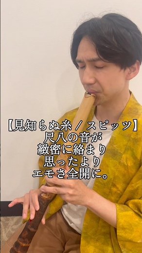 【見知らぬ糸 / スピッツ】尺八の音が緻密に絡まり思ったよりエモさ全開に。#shorts #shakuhachi #尺八