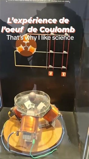 Expérience oeuf de Coulomb#science #sciencefacts #scienceexperiment #scienceshorts #sciencefiction