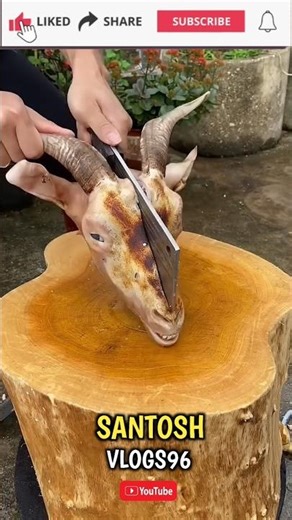 Amazing Goat #goat #shorts #shortsvideo