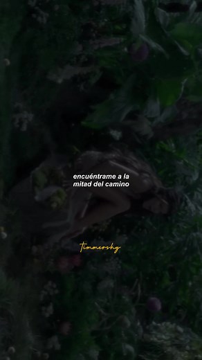 Meet Me Halfway Lyrics Sub Español by Black Eyed Peas