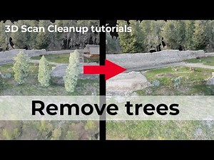 3D Scan cleanup - How to remove trees (or any other object)
