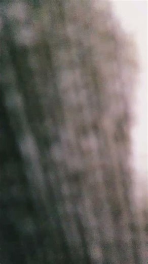 30 de dezembro de 2025