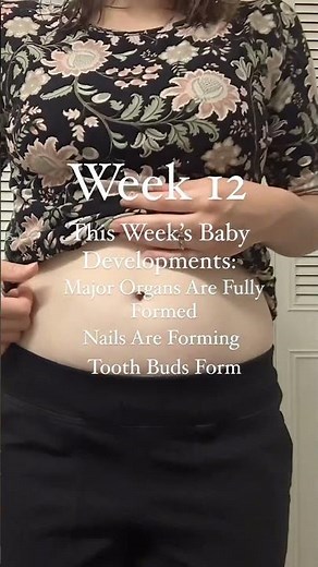 12 weeks pregnant baby development