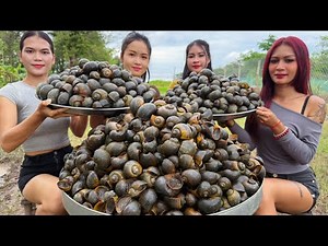 How to cook and wash snail recipe in my countryside