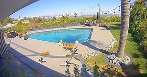 Brittany Furlan, wife of Tommy Lee, says coyote tried to run off with her dog