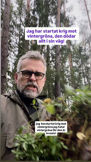 123K views · 603 reactions | Jag har startat krig mot vintergröna,...