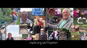 6.4K views · 218 reactions | Here is a first look at our new TV advert which will be aired over the Summer. A huge thank you to our #NatureStars who shared the homes they've built for nature - look out for them in the advert. We're looking forward to seeing many more homes for nature being created and shared with us. But for now, enjoy! | RSPB | Facebook