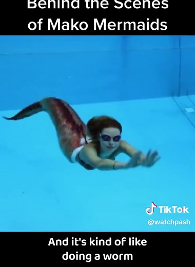 Pash Network on TikTok