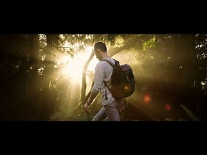 The Redwoods | Shot on Epic-W with HELIUM 8K S35 Sensor 8K HDR