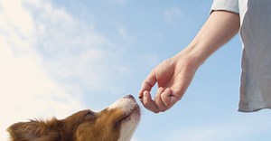 Video by Kampus Production on Pexels